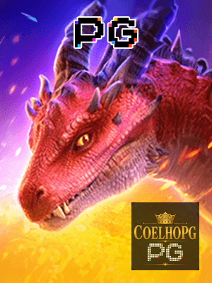 Recursos App COELHOPG